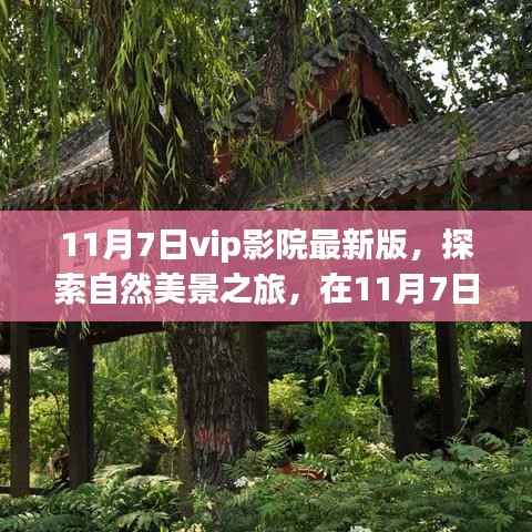 11月7日VIP影院最新版,自然美景之旅,探寻内心的宁静与平和