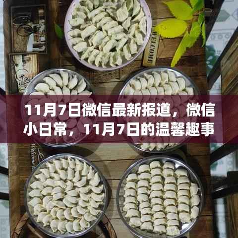 微信小日常,温馨趣事与友情纽带,记录美好时刻(11月7日报道)