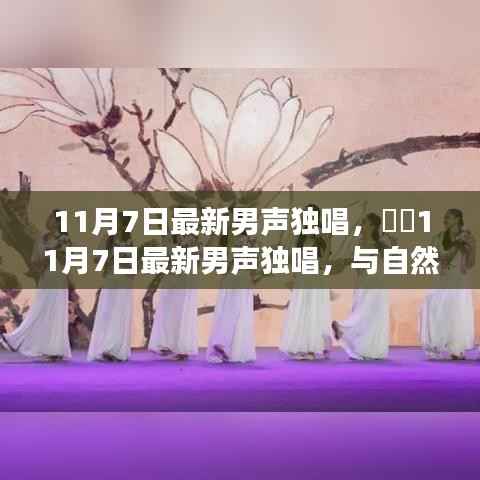 最新男声独唱,与自然美景的邂逅之旅,探寻内心宁静港湾