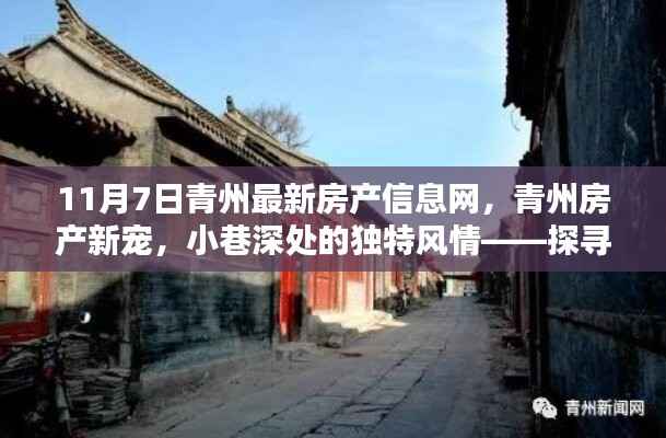 探寻青州房产新宠,11月7日最新房产信息与小巷深处的独特风情