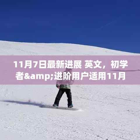 初学者与进阶用户指南,11月7日最新进展全面教程,教你完成某项任务或学习新技能