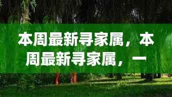 本周最新寻家属之旅,与自然美景的邂逅与寻找内心平和的旅程