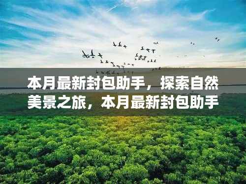 本月最新封包助手,探索自然美景之旅,带你远离尘嚣,寻找内心宁静与喜悦的旅程