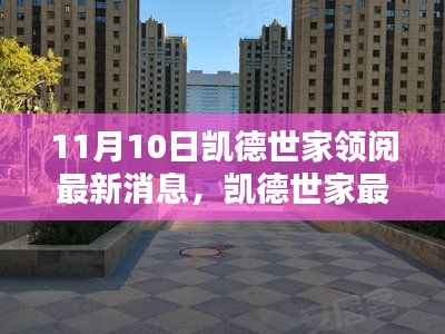 凯德世家最新动态解析,11月10日消息引发的深度思考