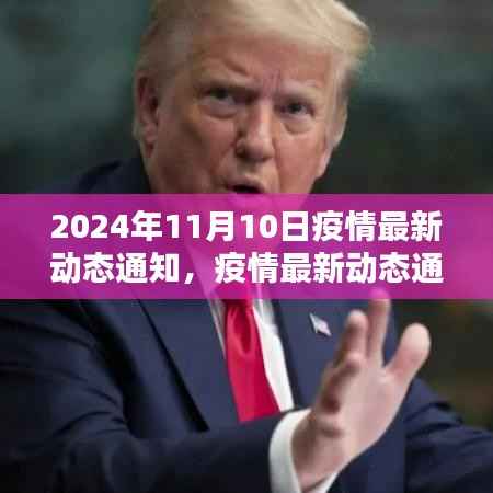 2024年11月10日疫情最新动态通知及防疫指南,安全应对疫情步骤详解