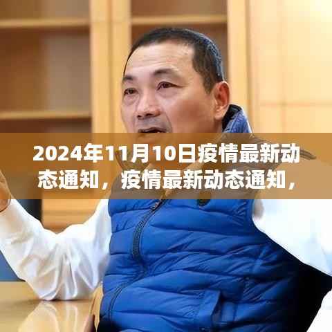 2024年11月10日疫情最新动态通知及防疫指南,安全应对疫情步骤详解