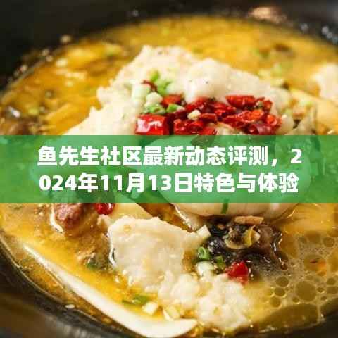 鱼先生社区最新动态评测,2024年11月13日特色与体验深度解析