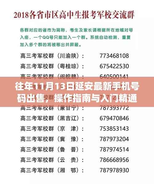 往年11月13日延安最新手机号码出售,操作指南与入门精通