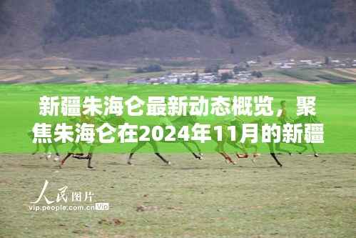 新疆朱海仑最新动态概览,聚焦朱海仑在2024年11月的新疆活动消息