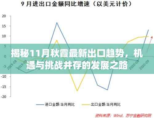 揭秘11月秋霞最新出口趋势,机遇与挑战并存的发展之路