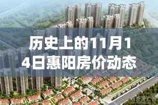 历史上的11月14日惠阳房价动态,最新篇章与温馨探房之旅