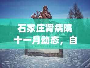 石家庄肾病院十一月动态,自然之旅鼓舞与内心宁静探寻的奇妙旅程