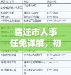 宿迁市人事任免详解，初学者与进阶用户指南（针对往年人事任免变化）