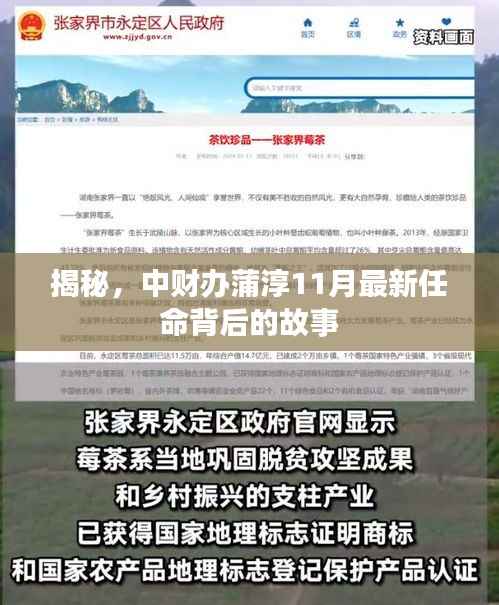 揭秘,中财办蒲淳11月最新任命背后的故事