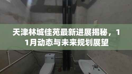 天津林城佳苑最新进展揭秘,11月动态与未来规划展望