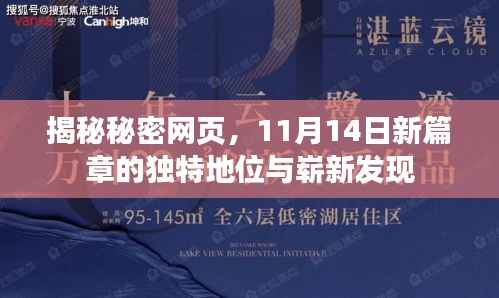 揭秘秘密网页，11月14日新篇章的独特地位与崭新发现