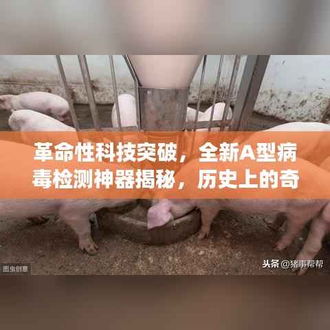 革命性科技突破,全新A型病毒检测神器揭秘,历史上的奇迹时刻见证于今日11月14日