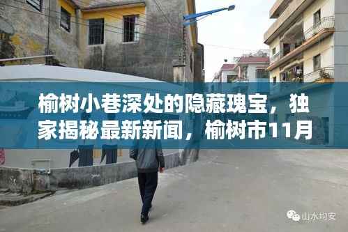 榆树小巷深处的隐藏瑰宝,独家揭秘最新新闻,榆树市11月14日深度报道