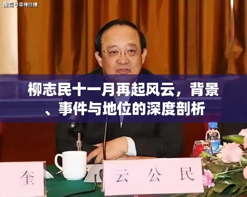 柳志民十一月再起风云,背景、事件与地位的深度剖析