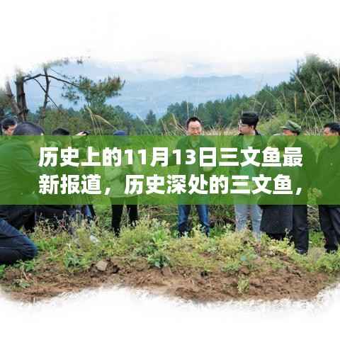 探寻三文鱼的历史印记,揭秘三文鱼在11月13日的变迁与最新报道