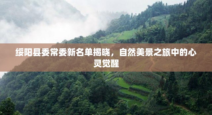 鸢飞鱼跃 第4页