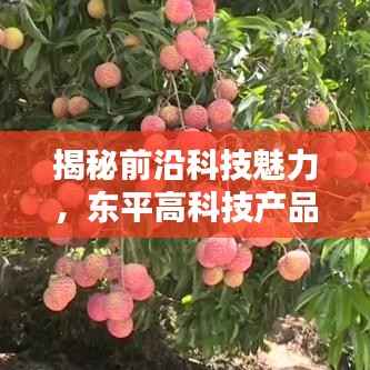 揭秘前沿科技魅力,东平高科技产品引领未来生活新篇章(11月15日最新资讯)