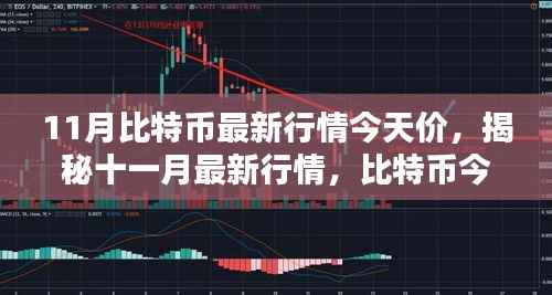 揭秘比特币最新行情,十一月走势分析与今日价格解读