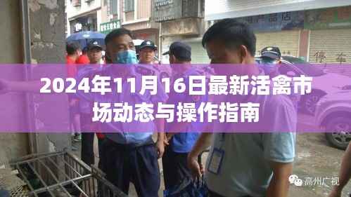 择善而从 第5页