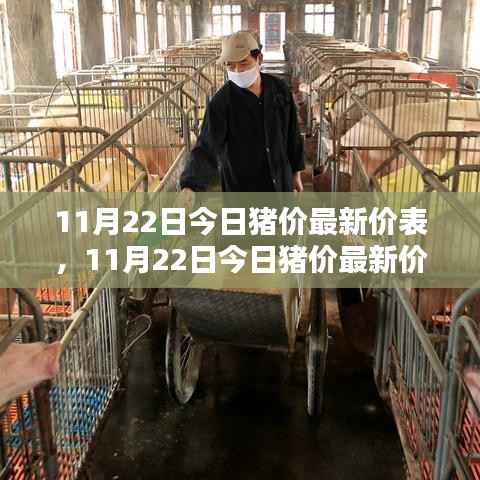 后生可畏 第5页