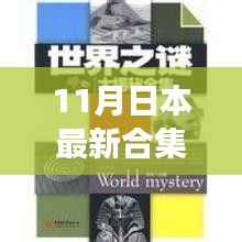 揭秘日本最新合集码的魅力与内涵,探索新知(11月版)
