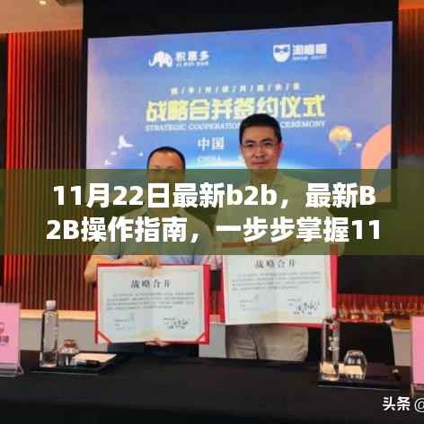 最新B2B操作指南,掌握11月22日的B2B操作技巧与策略