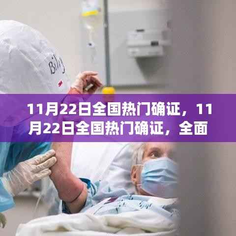 全国热门确证全面评测与深度解析,聚焦11月22日数据
