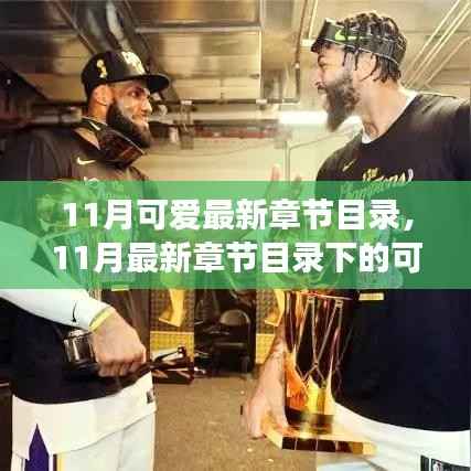 11月可爱最新章节目录,11月最新章节目录下的可爱之争,多方视角的探讨与个人立场