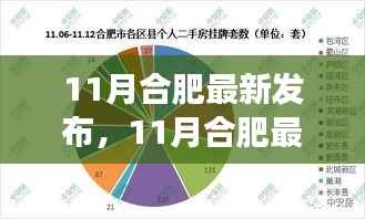 合肥城市发展的双刃剑效应及应对策略最新分析(11月发布)