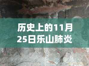 历史上的11月25日乐山肺炎事件深度解读与最新动态