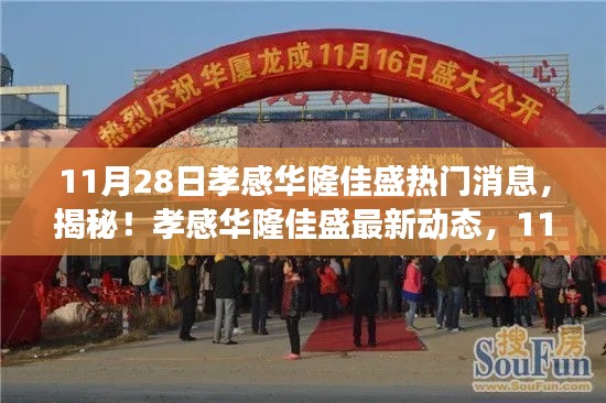孝感华隆佳盛最新动态揭秘,11月28日震撼更新!
