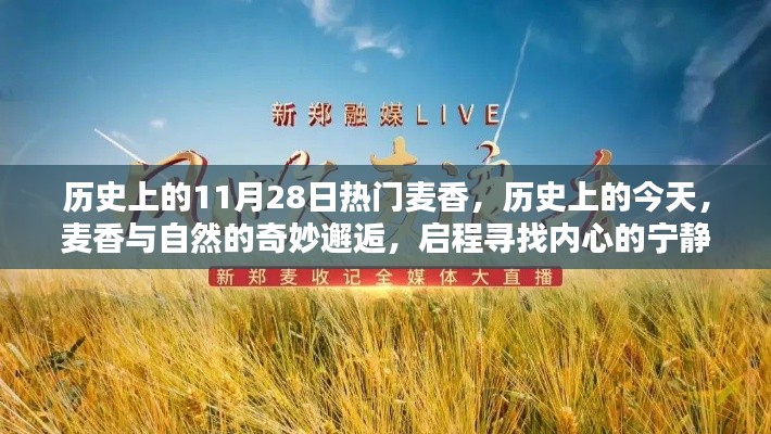 历史上的麦香奇妙邂逅,启程寻找内心的宁静之路(或,历史上的今天,麦香与自然的相遇)