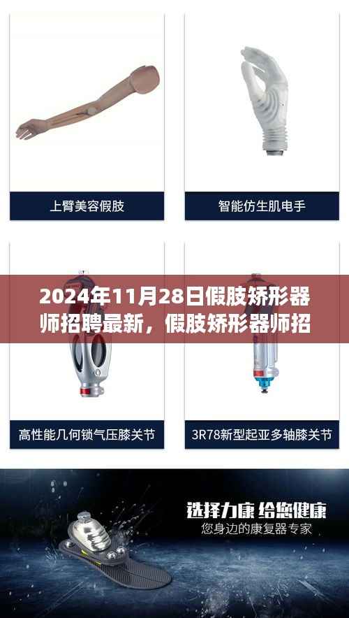 2024年假肢矫形器师招聘最新指南,从入门到精通,适合初学者与进阶用户