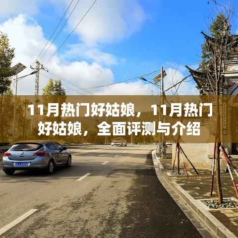 铺张扬厉 第5页