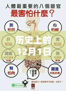 12月1日阴滋病国家科技动态,高科技产品重塑生活体验