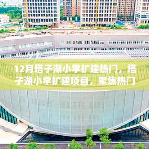 食而不化 第4页