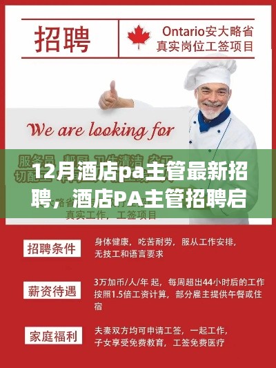 探寻PA主管行业翘楚,共筑酒店服务新篇章——最新招聘启事发布