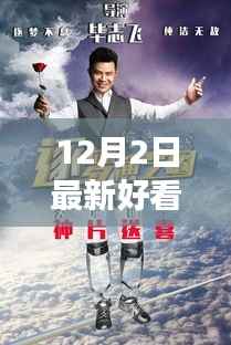 冬日暖阳下的电影之旅,与好友共赴温馨电影时光,最新热门电影推荐