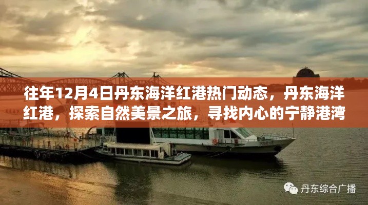 丹东海洋红港,探索自然美景之旅,12月4日热门动态与内心宁静港湾的寻觅