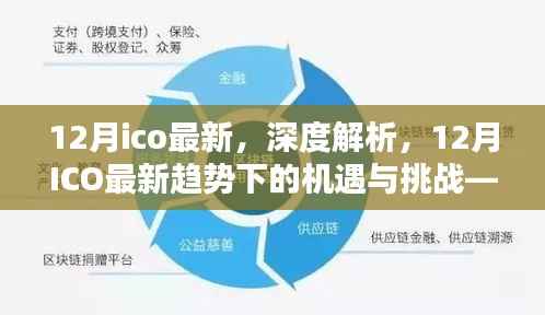 某某视角下的深度解析,12月ICO最新趋势的机遇与挑战