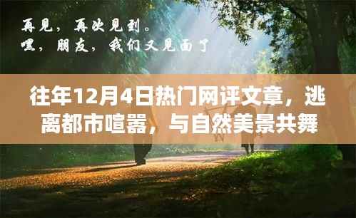 逃离都市喧嚣，一场寻找内心平静的奇妙旅程，历年网评热点文章盘点