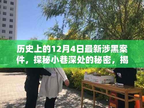 揭秘历史涉黑案件与特色小店背后的神秘缘分,探秘小巷深处的秘密故事在十二月四日揭晓