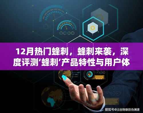 蜂刺产品深度评测，特性解析与用户体验全面剖析，十二月热门蜂刺来袭！