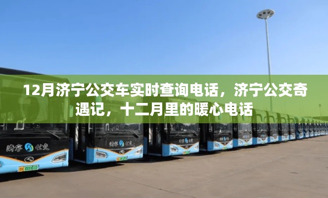 济宁公交奇遇记,十二月暖心电话实时查询服务