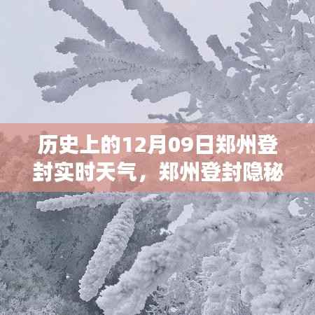 郑州登封隐秘小巷,历史与天气的邂逅之旅,实时天气回顾与独特风味探索